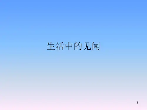 (精选)生活中的见闻