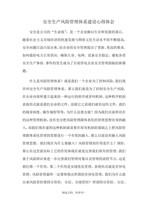 安全生产风险管理体系建设心得体会