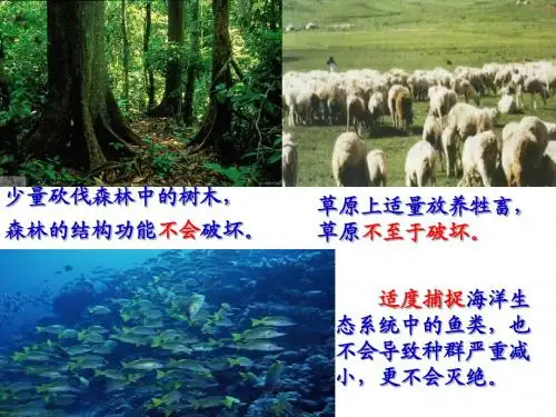 生态系统的稳定性