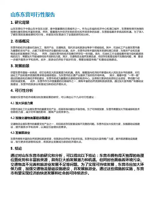 山东东营可行性报告