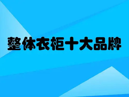 整体衣柜十大品牌优质PPT