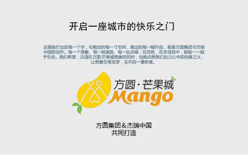 广西百色芒果城项目整体战略定位方案