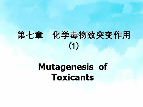 化学毒物致突变作用