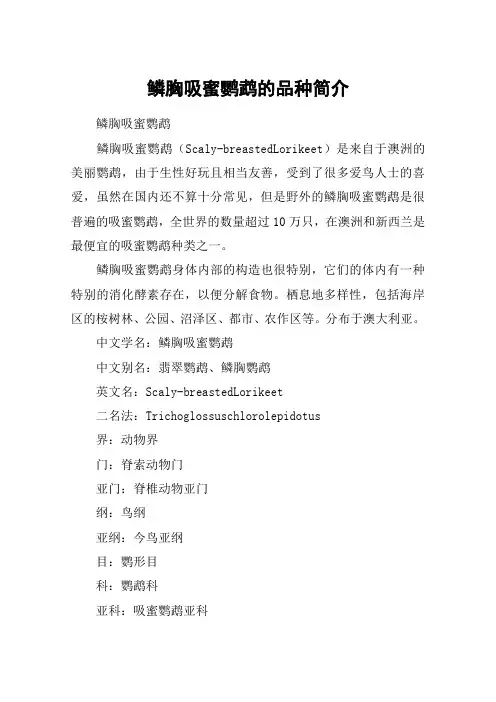 鳞胸吸蜜鹦鹉的品种简介