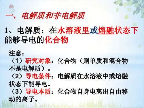 酸碱盐在水溶液中的电离PPT.