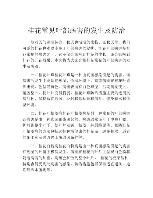 桂花常见叶部病害的发生及防治