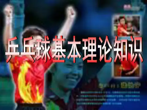 乒乓球基本理论知识