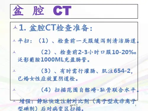 盆腔CT  ppt课件