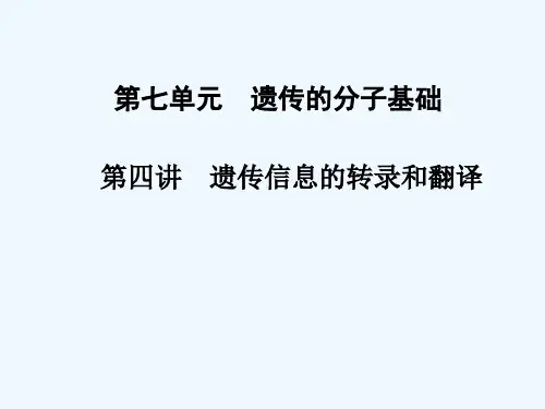 第七单元 第四讲 遗传信息的转录和翻译课件课件