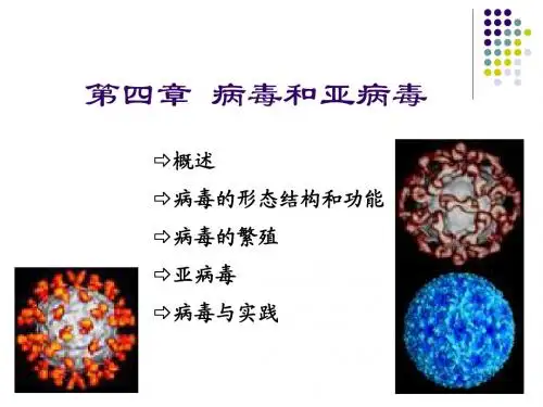 第四章 病毒和亚病毒