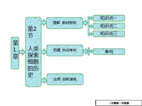 高中生物北师大版高一必修一课件：第1章_第2节_人类探索细胞的历史