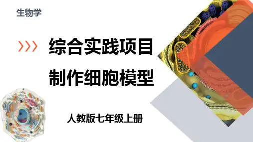 综合实践项目+单元小结-2024-2025学年七年级生物上学期同步精品课件(2024人教版)