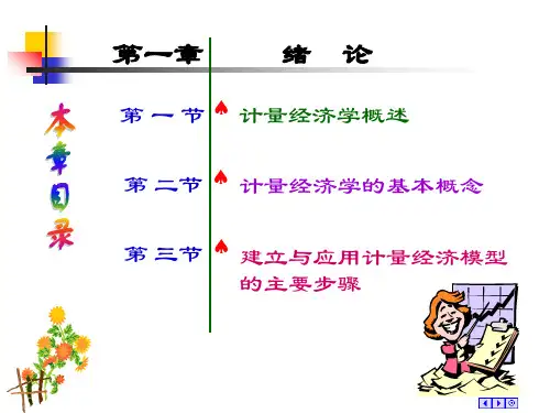 计量经济学教学课件第一章.详解