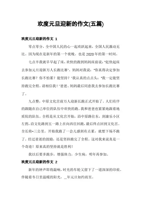 欢度元旦迎新的作文(五篇)