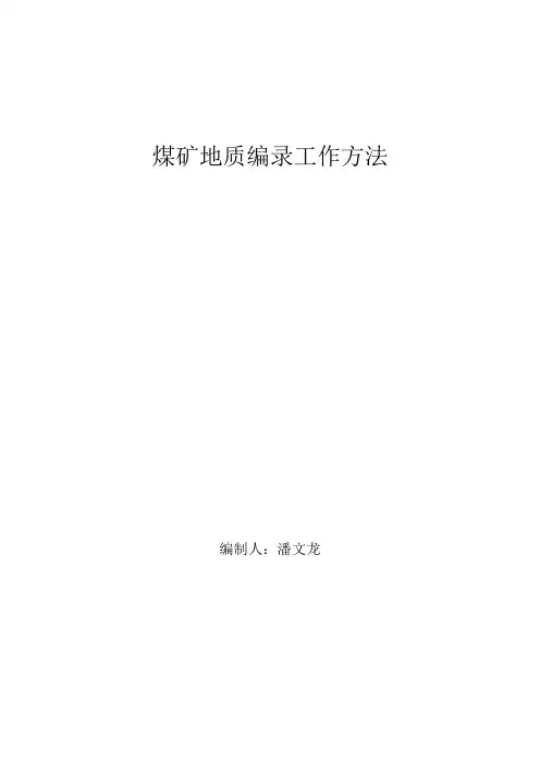 煤矿地质编录方法
