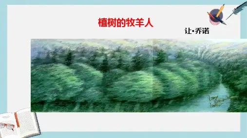 新人教版七年级语文上册14、植树的牧羊人ppt优秀课件