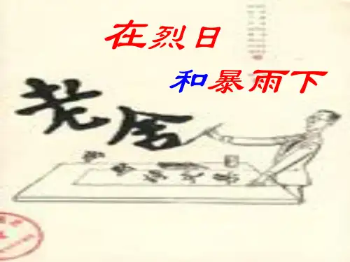 初三语文在烈日和暴雨下(中学课件201909)