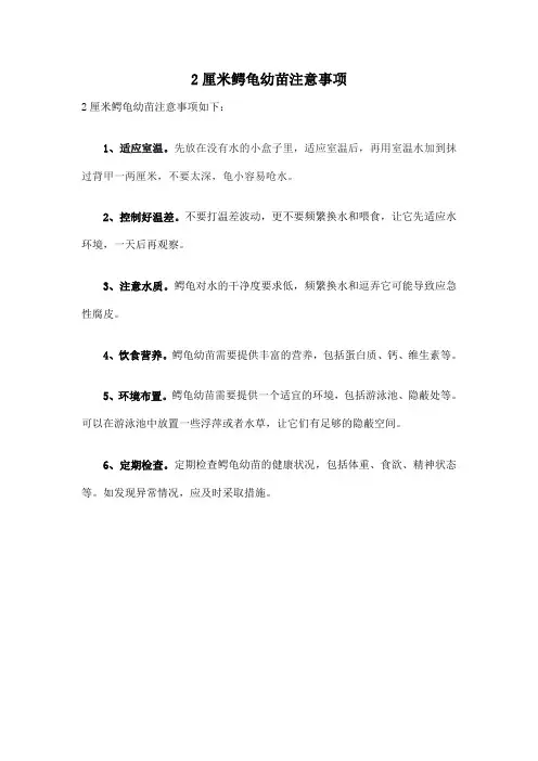 2厘米鳄龟幼苗注意事项