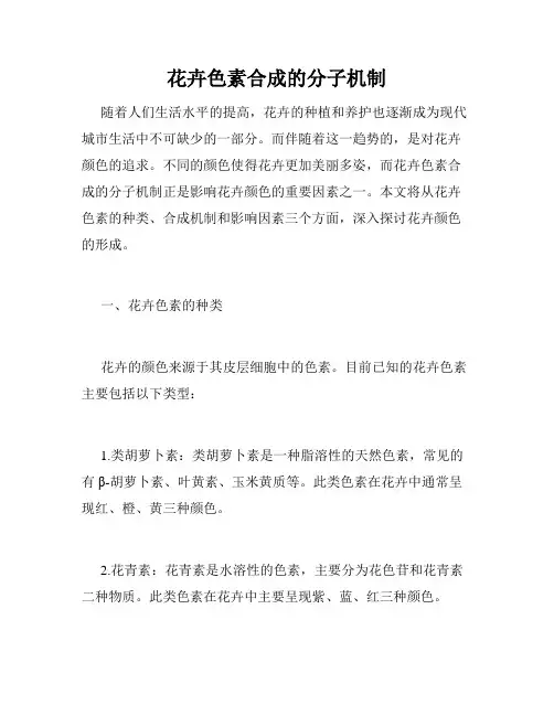 花卉色素合成的分子机制