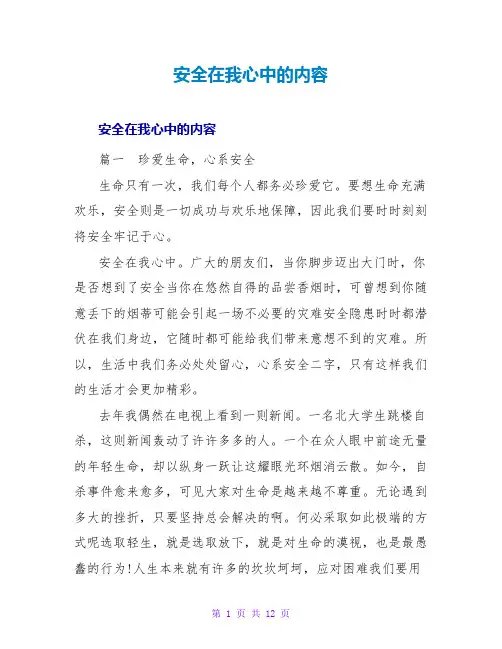 安全在我心中的内容
