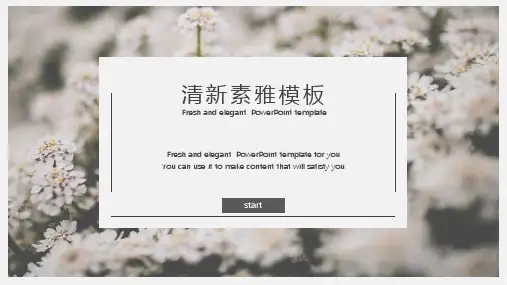 清新素雅文艺通用PPT模板