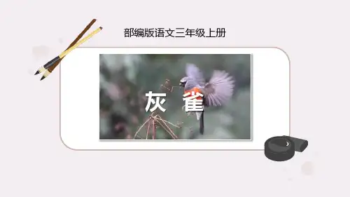 部编版三年级上册语文《灰雀》说课课文电子课件