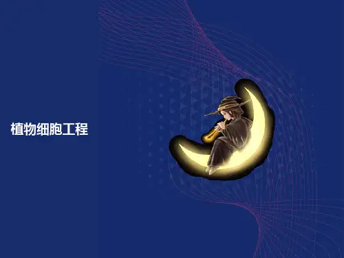 植物细胞的全能课件