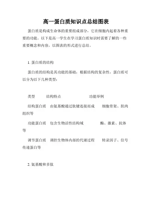高一蛋白质知识点总结图表