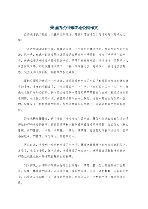 美丽的杭州湾湿地公园作文