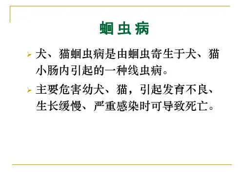 【宠物寄生虫PPT】  蛔虫病