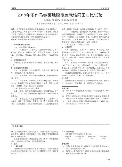 2019年冬作马铃薯地膜覆盖栽培同田对比试验
