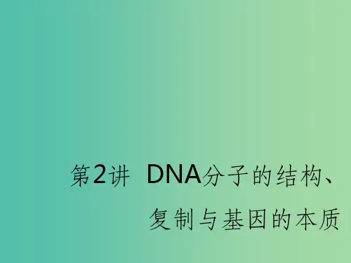 (通用版)202x版高考生物一轮复习 第二单元 第2讲 DNA分子的结构、复制与基因的本质(必修2)