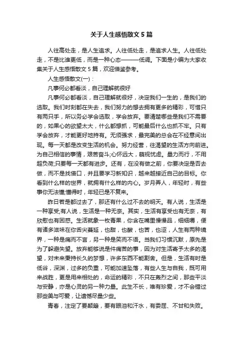 关于人生感悟散文5篇