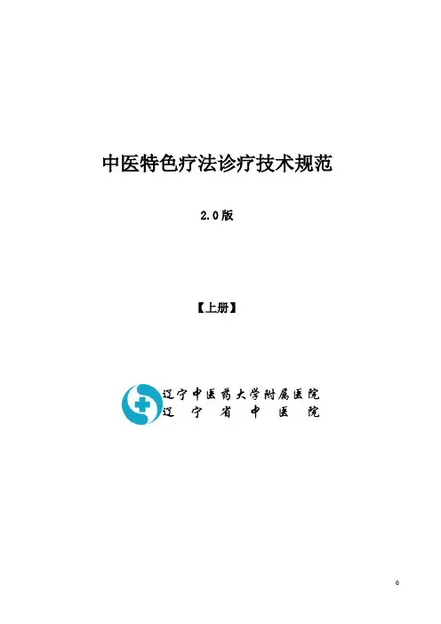 中医特色疗法诊疗技术规范2.0版(上册)