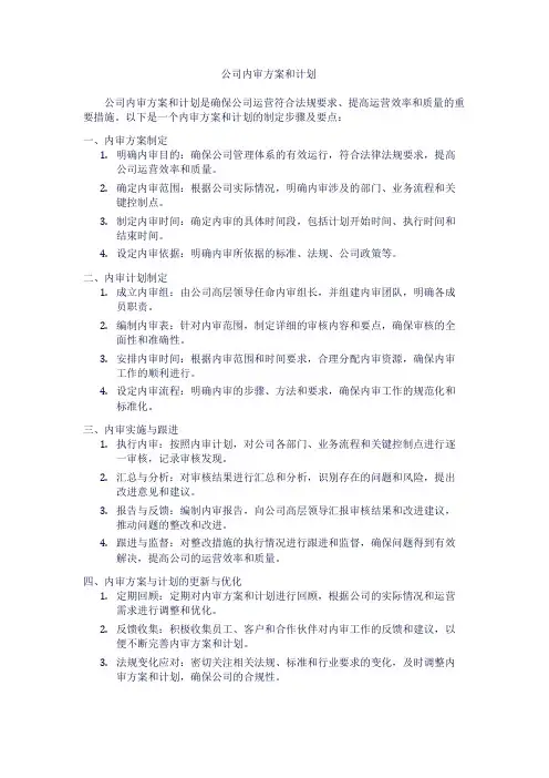 公司内审方案和计划