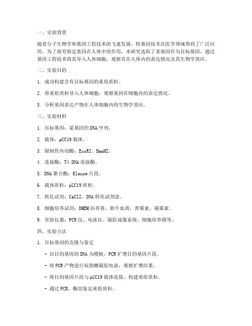 转基因人实验报告