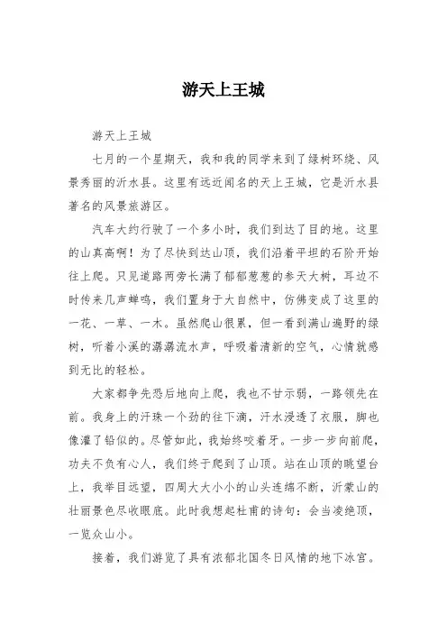 小学三年级作文：游天上王城011
