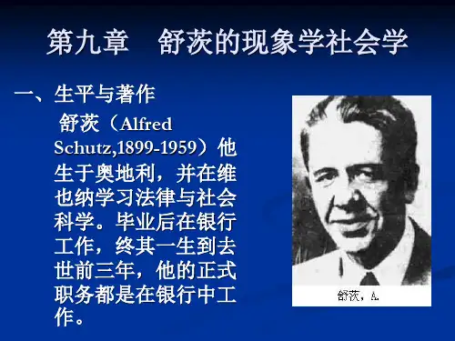 第九章舒茨的现象