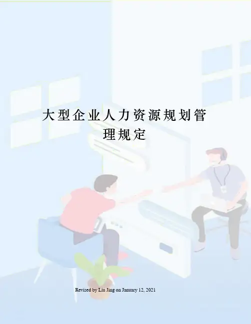大型企业人力资源规划管理规定