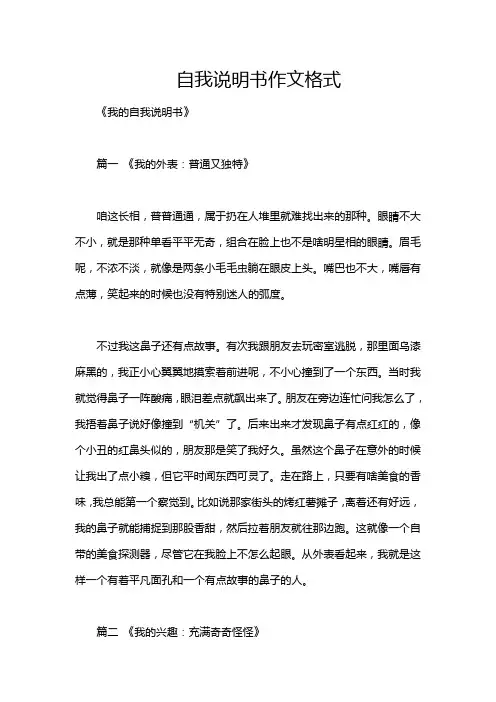 自我说明书作文格式