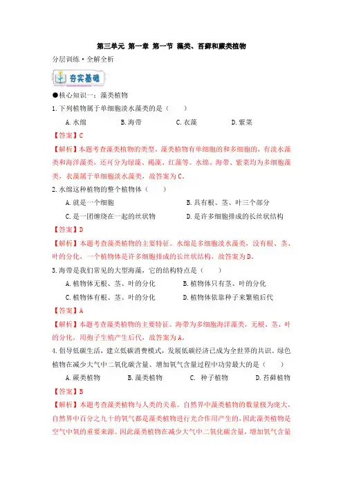 人教版七年级生物上册《藻类、苔藓、蕨类植物》大单元教学分层训练(解析版)