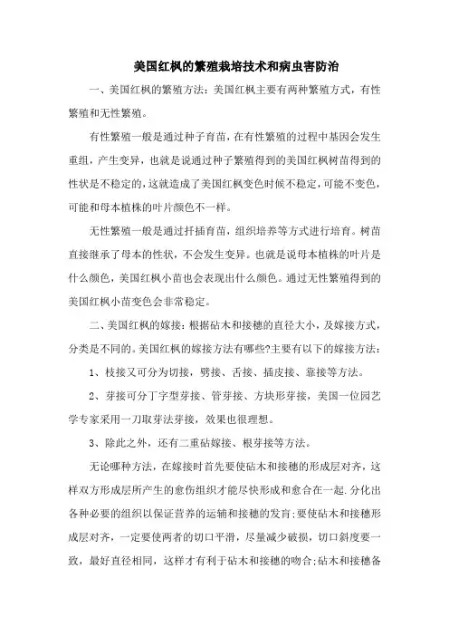 美国红枫的繁殖栽培技术和病虫害防治
