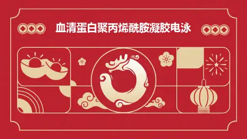 血清蛋白聚丙烯酰胺凝胶电泳
