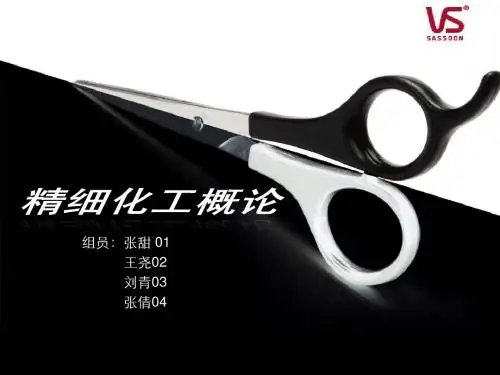 沙宣演示文稿2