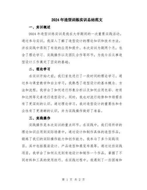 2024年造型训练实训总结范文