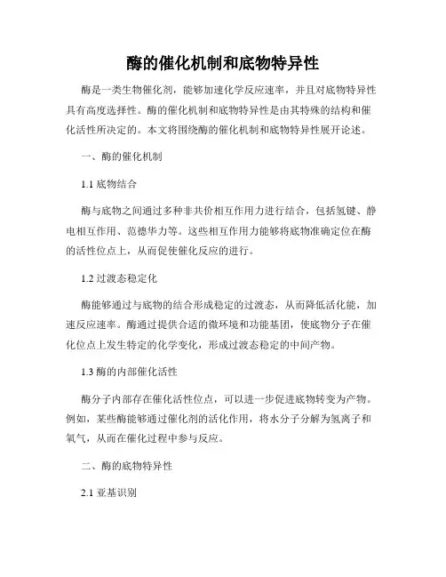 酶的催化机制和底物特异性