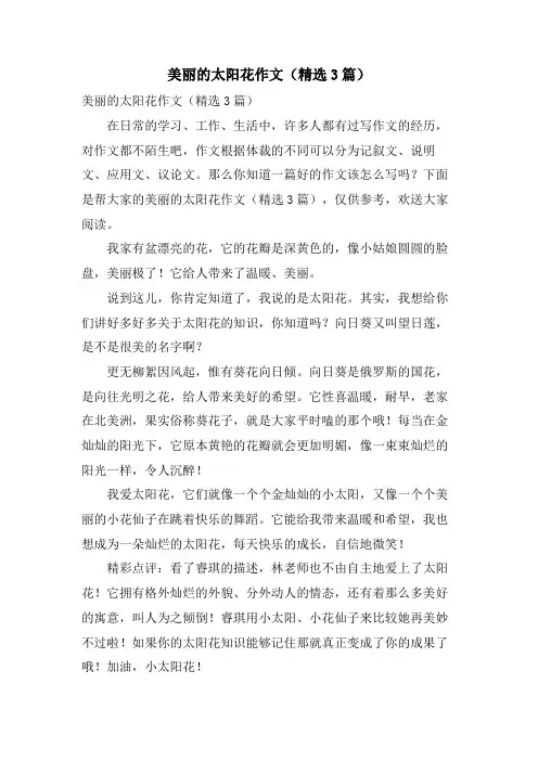 美丽的太阳花作文(3篇)