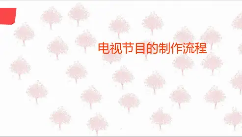 电视节目制作流程PPT优质课件