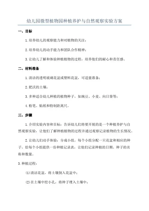 幼儿园微型植物园种植养护与自然观察实验方案