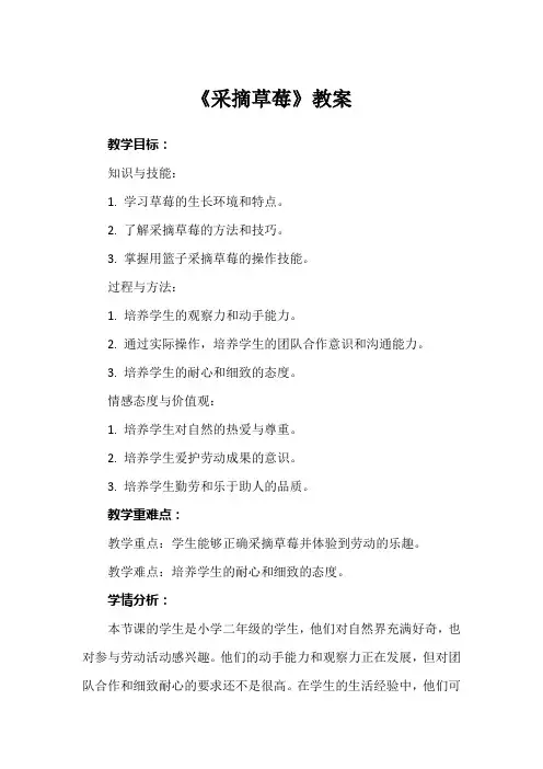 《采摘草莓》教案